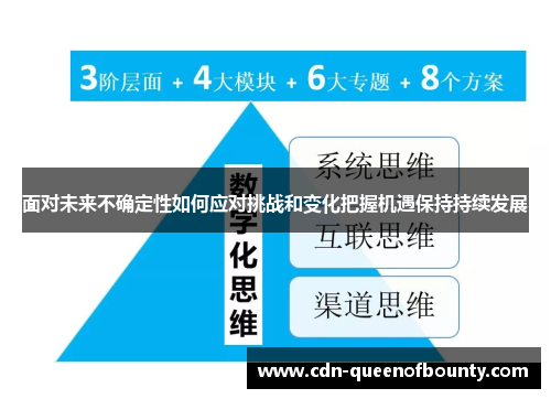 面对未来不确定性如何应对挑战和变化把握机遇保持持续发展